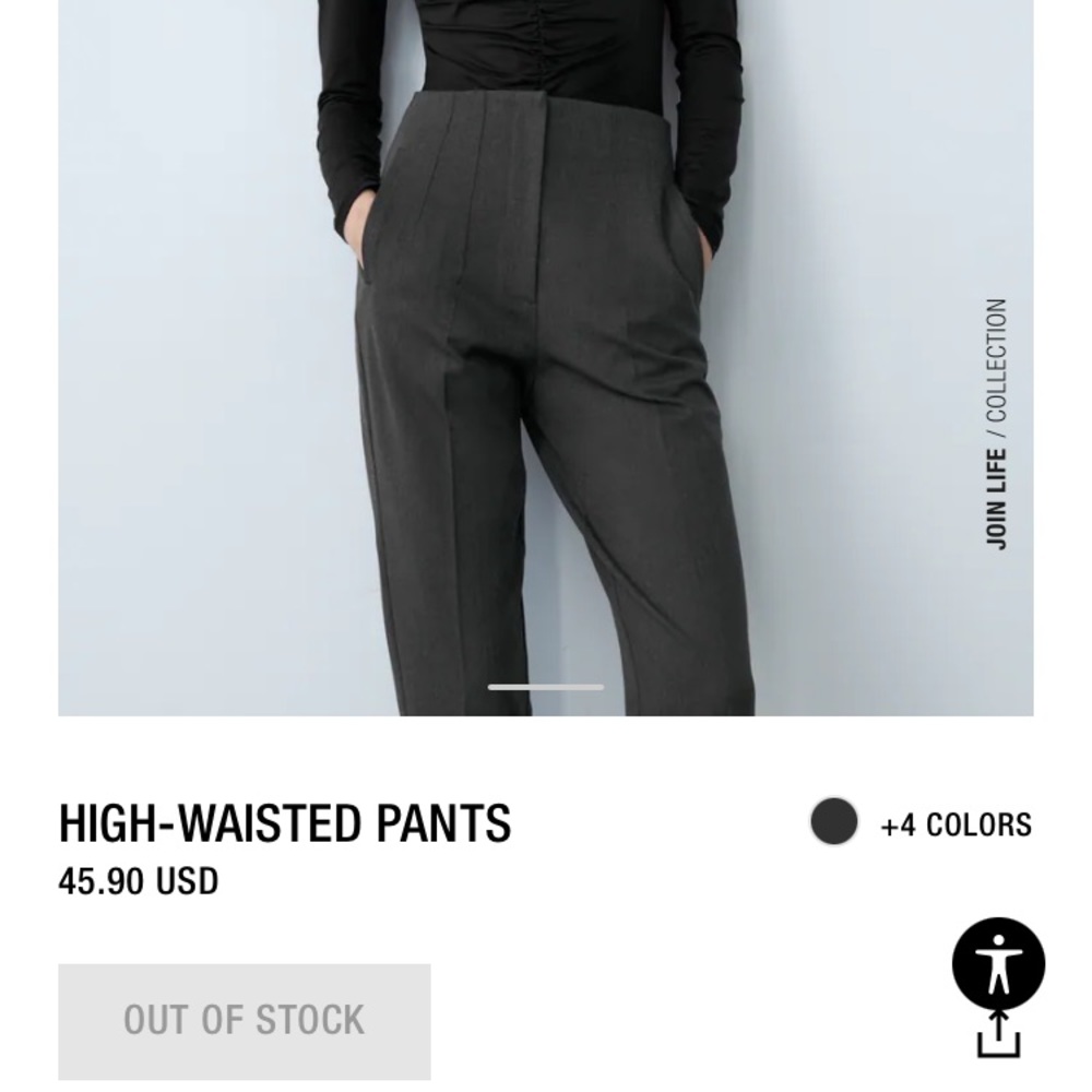 Zara High Waisted Pants NWT